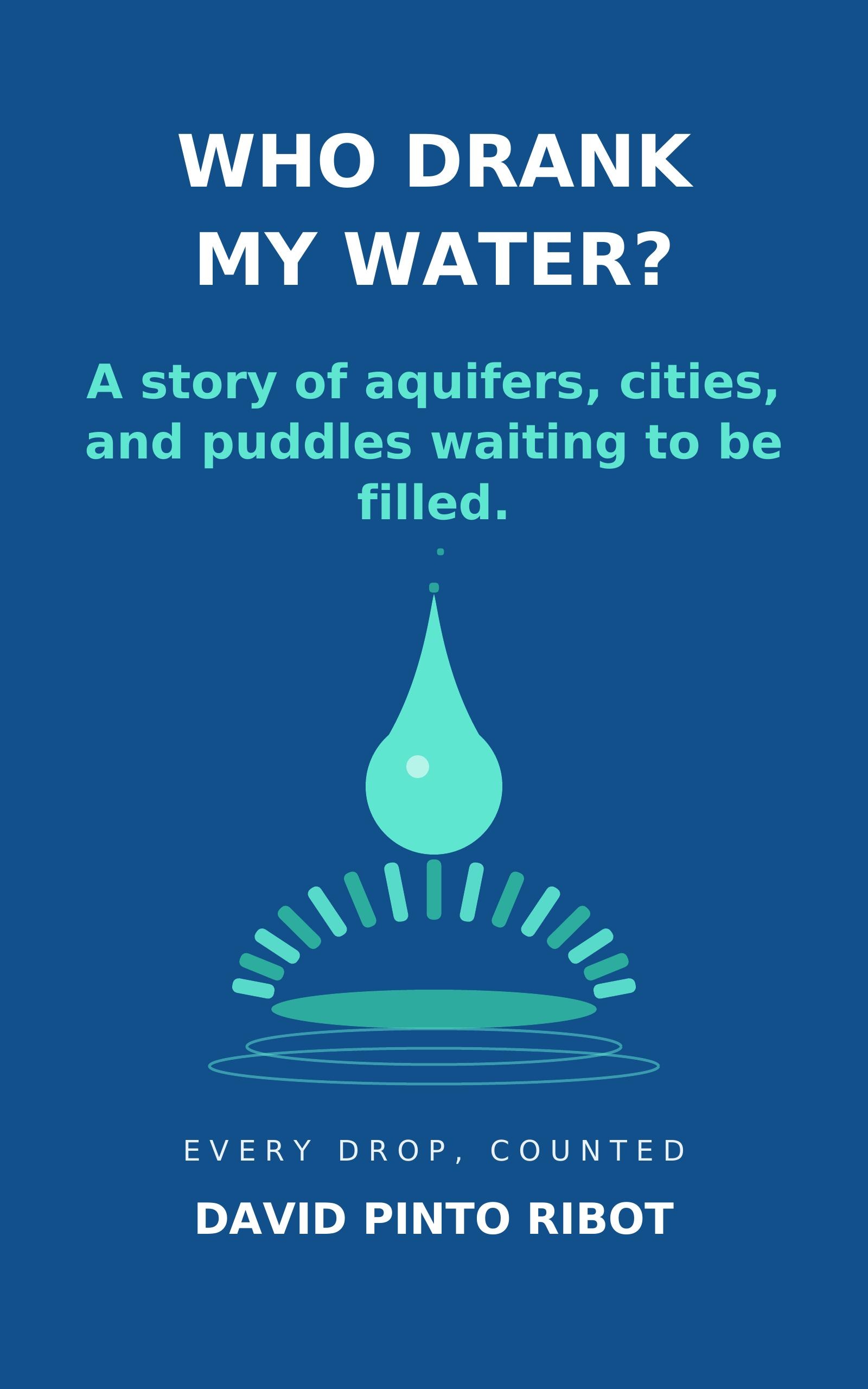 ¿Quién se tomó mi Agua? Una historia de acuíferos, ciudades y charcos pos llenar - Image 3